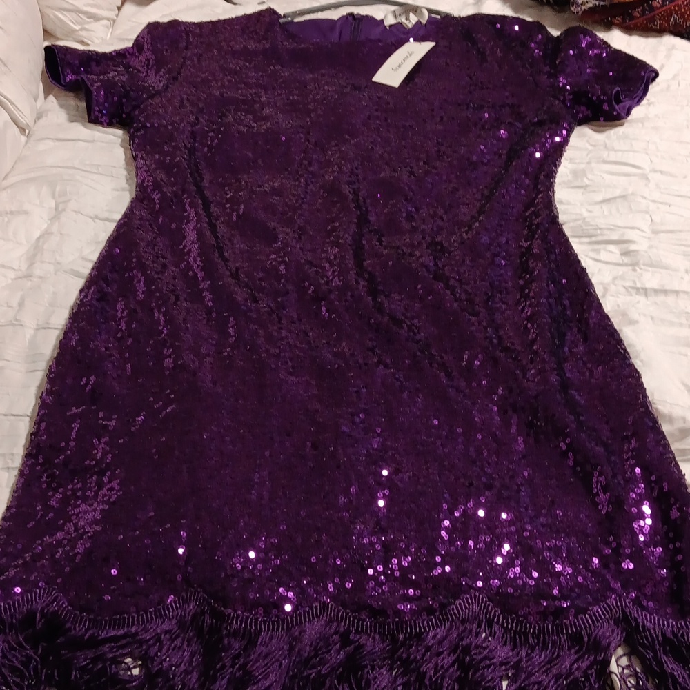 NWT Francesca Sparkly Purple Dress